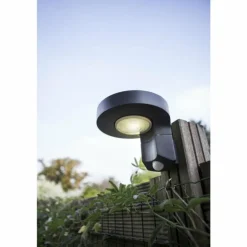 Applique murale d'extérieur Lutec DISO LED Anthracite, 1 lumière, Détecteur de mouvement