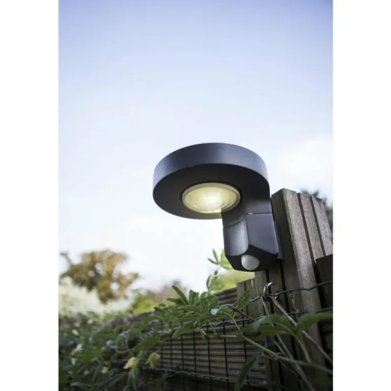 Applique murale d'extérieur Lutec DISO LED Anthracite, 1 lumière, Détecteur de mouvement