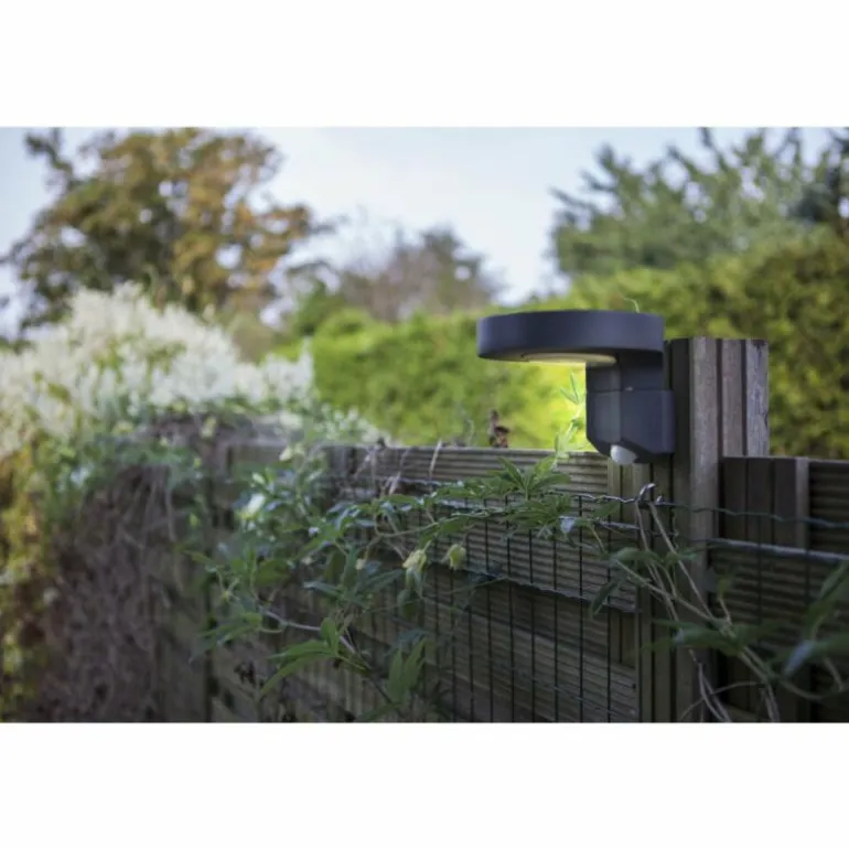 Applique murale d'extérieur Lutec DISO LED Anthracite, 1 lumière, Détecteur de mouvement