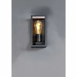 Applique murale d'extérieur Lutec KARO Noir, 1 lumière
