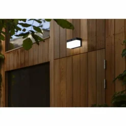 Applique murale d'extérieur Lutec FRAN LED Noir, 1 lumière, Détecteur de mouvement