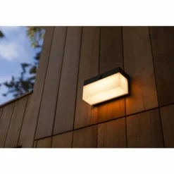 Applique murale d'extérieur Lutec FRAN LED Noir, 1 lumière, Détecteur de mouvement