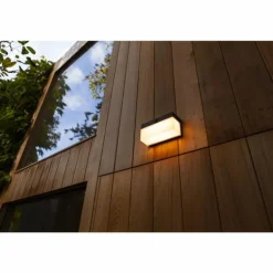 Applique murale d'extérieur Lutec FRAN LED Noir, 1 lumière, Détecteur de mouvement