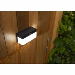 Applique murale d'extérieur Lutec FRAN LED Noir, 1 lumière, Détecteur de mouvement