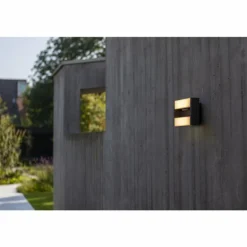 Applique murale d'extérieur Lutec CONROY LED Anthracite, 1 lumière