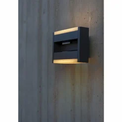 Applique murale d'extérieur Lutec CONROY LED Anthracite, 1 lumière