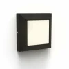 Applique murale d'extérieur Lutec HELENA LED Noir, 1 lumière