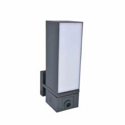 Applique murale d'extérieur Lutec CUBA LED Anthracite, 1 lumière, Détecteur de mouvement