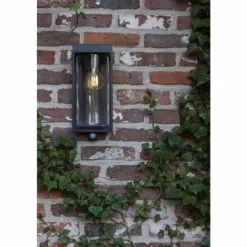 Applique murale d'extérieur Lutec FLAIR Noir, 1 lumière, Détecteur de mouvement