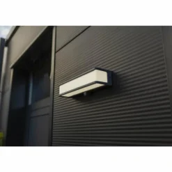 Applique murale d'extérieur Lutec DOBLO LED Anthracite, 1 lumière, Détecteur de mouvement