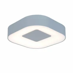 Applique murale d'extérieur Feldsted LED Argenté, 1 lumière