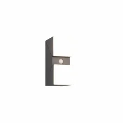 Applique murale d'extérieur Trio Avon LED Anthracite, 2 lumières, Détecteur de mouvement