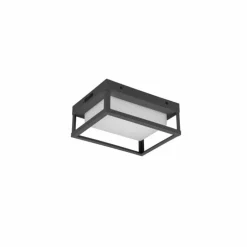 Applique murale d'extérieur Trio Witham LED Anthracite, 1 lumière