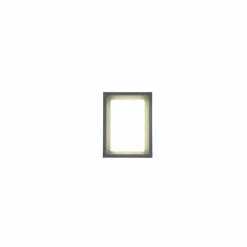 Applique murale d'extérieur Trio Witham LED Anthracite, 1 lumière