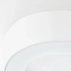 Applique murale d'extérieur Brilliant Whittaker LED Blanc, 1 lumière