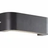Applique murale d'extérieur Brilliant Burty LED Noir, 1 lumière