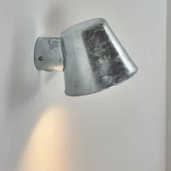 Applique murale d'extérieur Cook Acier inoxydable, Zingué, 1 lumière