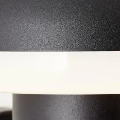 Applique murale d'extérieur Brilliant Ilton LED Noir, 1 lumière, Détecteur de mouvement