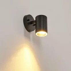 Applique murale d'extérieur Bessiebelle Noir, Blanc, 1 lumière