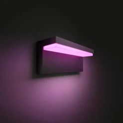 Applique murale d'extérieur Philips Hue Nyro LED Noir, 1 lumière, Changeur de couleurs
