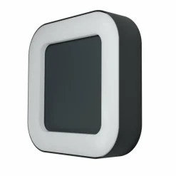 Applique murale d'extérieur LEDVANCE ENDURA® Gris, 1 lumière