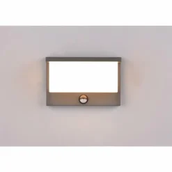 Applique murale d'extérieur Trio Nestos LED Anthracite, 1 lumière, Détecteur de mouvement