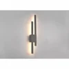 Applique murale d'extérieur Trio Tawa LED Anthracite, 2 lumières