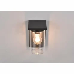 Applique murale d'extérieur Trio Ardila Noir, 1 lumière
