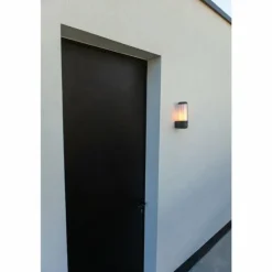 Applique murale d'extérieur Lutec Heros Anthracite, 1 lumière