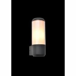 Applique murale d'extérieur Lutec Heros Anthracite, 1 lumière