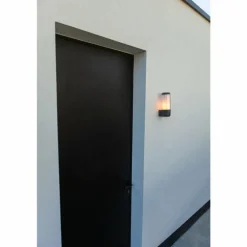 Applique murale d'extérieur Lutec Heros Anthracite, 1 lumière, Détecteur de mouvement