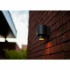 Applique murale d'extérieur Lutec Cypres Anthracite, 1 lumière