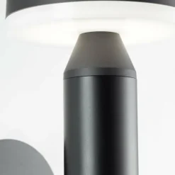 Applique murale d'extérieur Brilliant Magua LED Noir, 1 lumière