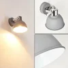 hofstein Appliques|Applique murale Dompierre Gris, Blanc, 1 lumière