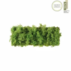 Luminaires Leuchten Direkt Éclairage Led|Applique murale Leuchten-Direkt GREEN CARLO LED Argenté, 6 lumières