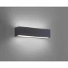 Applique murale Paul Neuhaus ROBERT LED Anthracite, 1 lumière