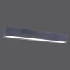Applique murale Paul Neuhaus ROBERT LED Anthracite, 1 lumière