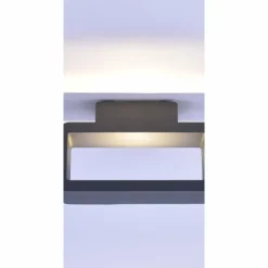 Applique murale Paul Neuhaus HENDRIK LED Anthracite, 1 lumière
