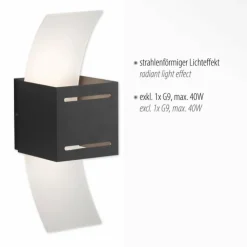 Luminaires Paul Neuhaus Appliques|Applique murale Paul Neuhaus ORMA Anthracite, 1 lumière