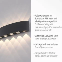 Applique murale Paul Neuhaus CARLO LED Anthracite, 10 lumières
