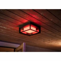 Applique murale Philips Hue Ambiance White & Color Econic LED Noir, 1 lumière, Changeur de couleurs