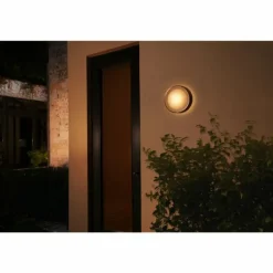Applique murale Philips Hue White & Color Ambiance Daylo LED Acier inoxydable, 1 lumière
