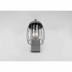Applique murale Trio-Leuchten Tuela Anthracite, 1 lumière