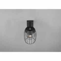 Applique murale Trio-Leuchten Tuela Anthracite, 1 lumière