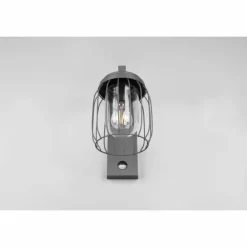 Applique murale Trio-Leuchten Tuela Anthracite, 1 lumière, Détecteur de mouvement