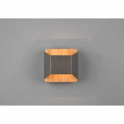Luminaires Trio Appliques|Applique murale Trio-Leuchten Arino LED Brun foncé, Nickel mat, 1 lumière