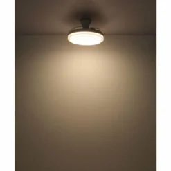 Beliz Ventilateur de plafond lumineux Luminaires Globo Lighting LED Blanc, 1 lumière, Télécommandes