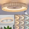 Benasal Plafonnier, Ventilateur de plafond lumineux Écru, Blanc, 1 lumière, Télécommandes