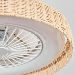 Benasal Plafonnier, Ventilateur de plafond lumineux Écru, Blanc, 1 lumière, Télécommandes