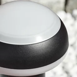 Borne lumineuse Vinara LED Noir, 1 lumière